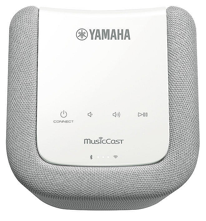 ����� ���� Yamaha WX010 