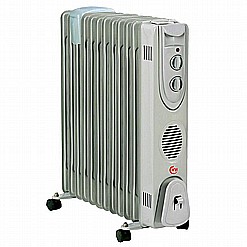 ������� 12 ����� SACSH EF12