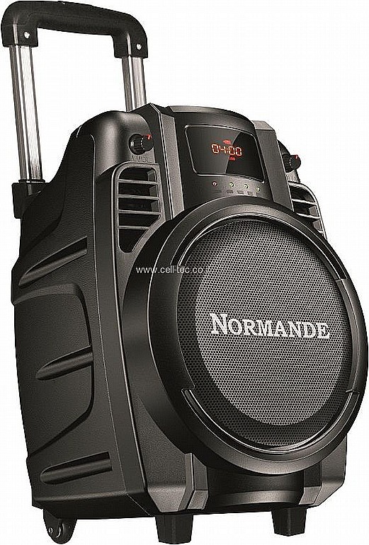 ������� ����� Normande RCD102BD