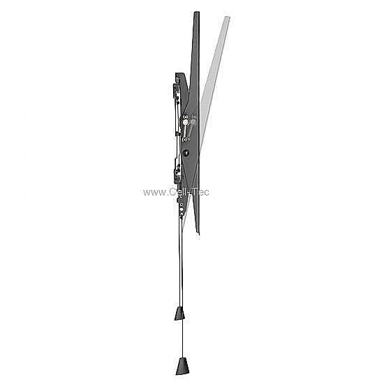 ����� ���� ���������  Brateck LP59-46T Lumi