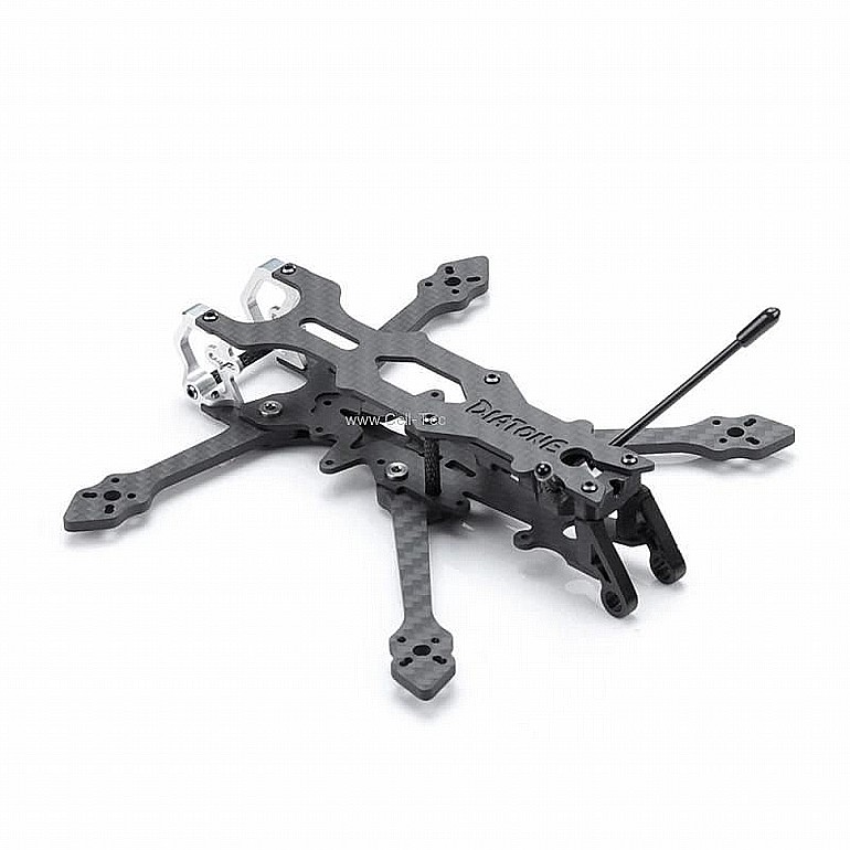 ���� ����� ���� - Diatone Roma L3 Frame