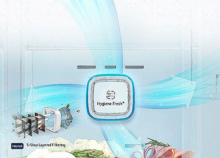 ���� 4 ����� LG GR-B919S