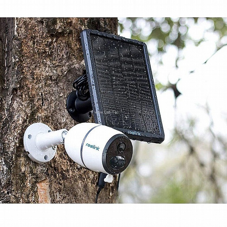 ���� ����� ������� ����� Reolink ������� ��� Solar Panel