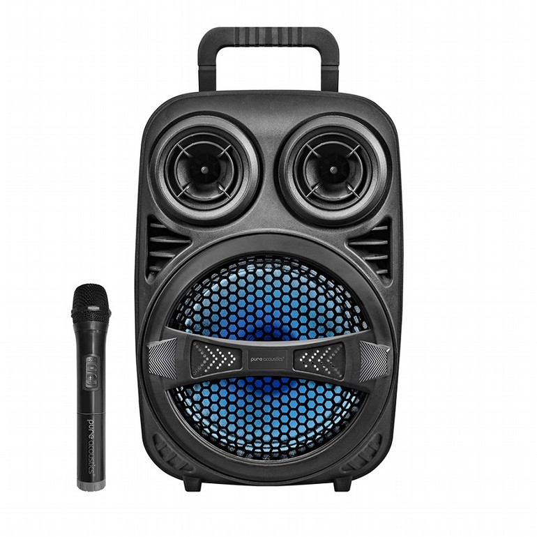 ������� ������ ����� Pure Acoustics ZX-80 | ���� ��������