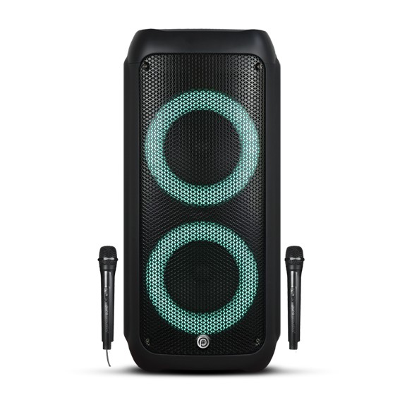 ������� ������ ����� Pure Acoustics DANCER X650 | ���� ��������