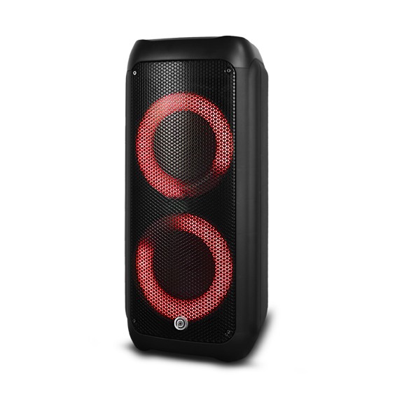 ������� ������ ����� Pure Acoustics DANCER X650 | ���� ��������