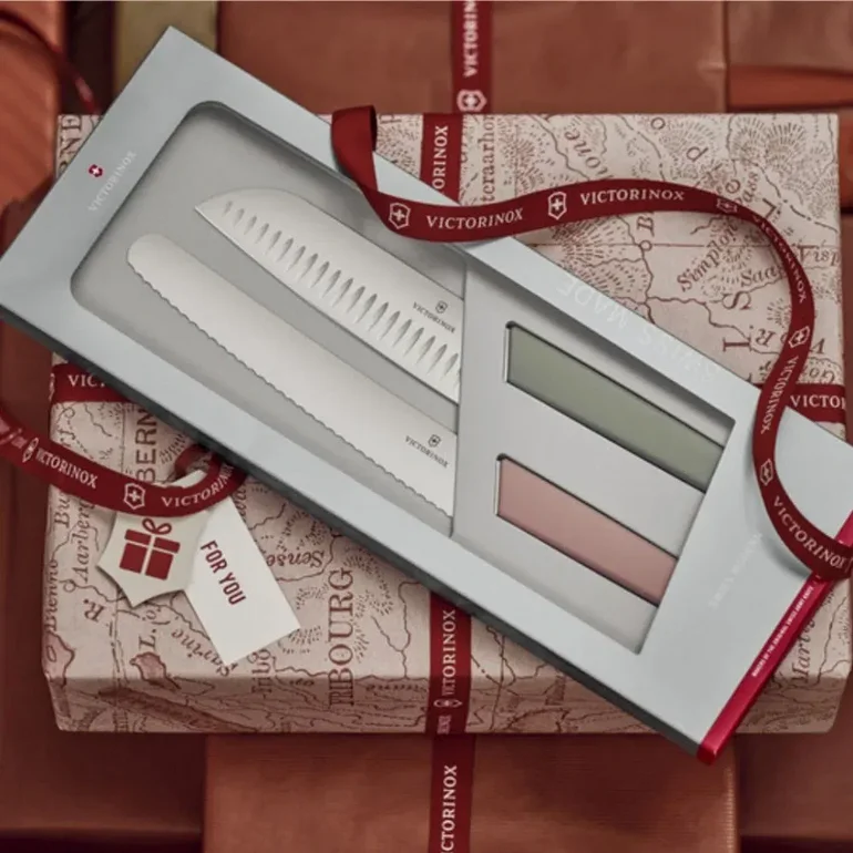 �� ���� ������ ����� ����� Swiss Modern ������ 6.9096.22G ���� VICTORINOX | �����������
