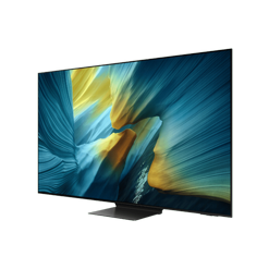 �������� ���� ��� QE55S95F ���� ������ |  Samsung   