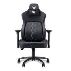 ���� ������� Acer Predator Rift Pro (GP.GCR11.00V) ���� ����