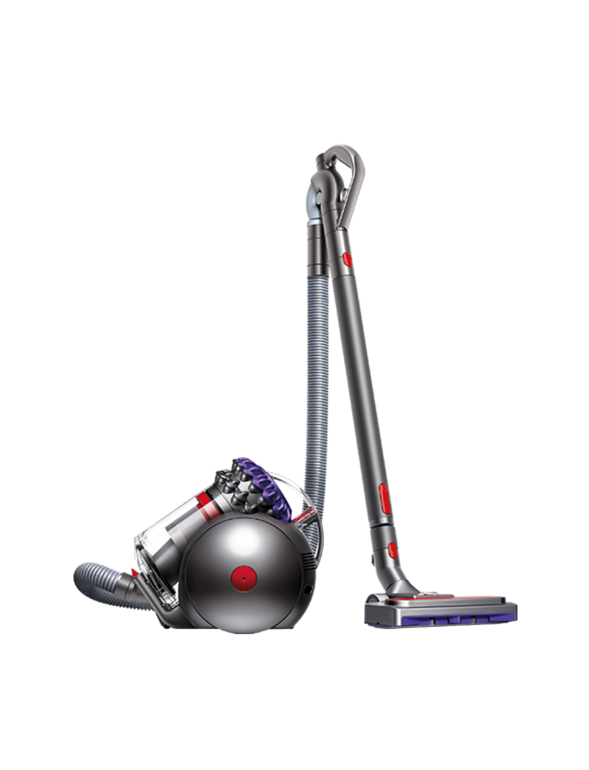 ����� ��� ���� ������ Dyson CY28 Big Ball Parquet 2 | ������ 