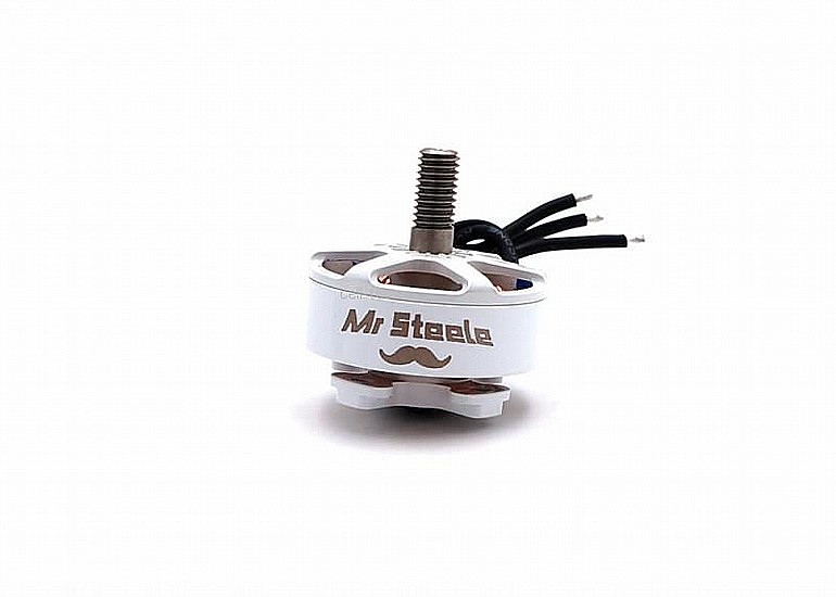 ���� ����� ���� - TBS Ethix Mr Steele 2306 2345kv Silk V2 Motor  