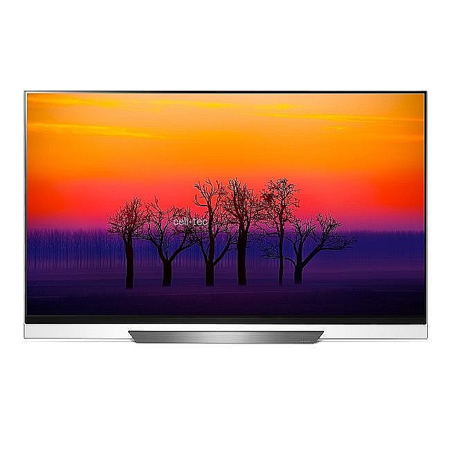 �������� �65 ������  LG OLED65E8Y 4K 
