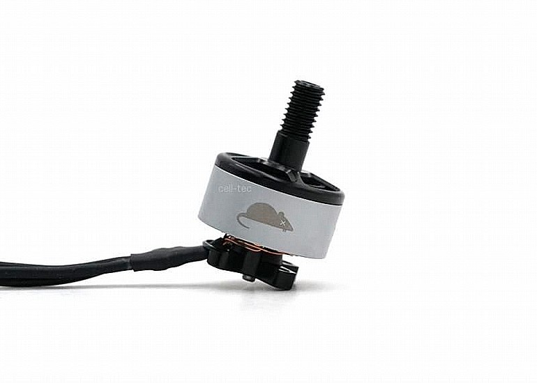 ���� ����� -  ETHiX Flat Rat 1507 2800KV