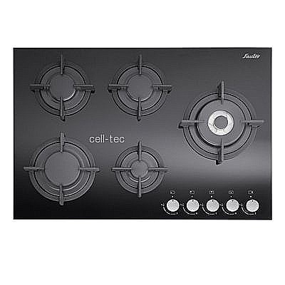 ������ ����� Sauter SHG7520B