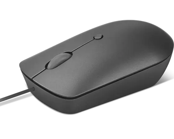 ����� �������� ����� Lenovo 540 USB-C Wired Compact Mouse (Storm Grey) GY51D20876 �����
