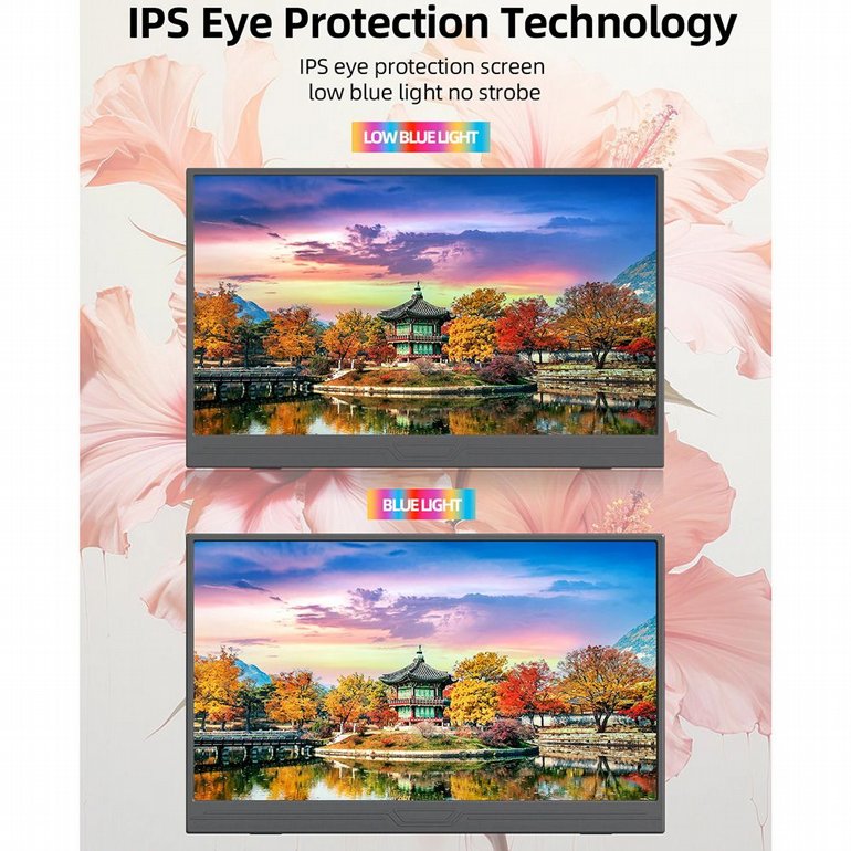 ��� ���� ���� ZSUS - PM15AEU - Portable Monitor - 15.6" FHD 60Hz IPS