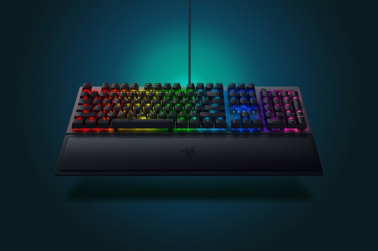 ������ Razer BlackWidow V3 G.S �����